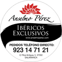 anselmoperez.com logo