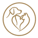 Belluo.com logo