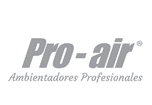 Pro-air.es logo