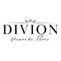 www.divionperfumes.com logo
