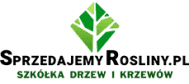 sprzedajemyrosliny.pl logo