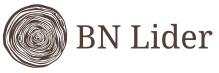 bn-lider.pl logo