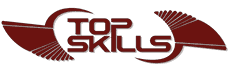 Top Skills logo