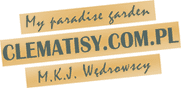clematisy.pl logo
